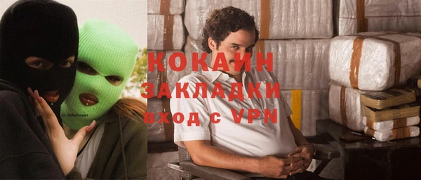 крисы Каменка