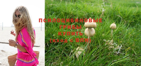 крисы Бугульма